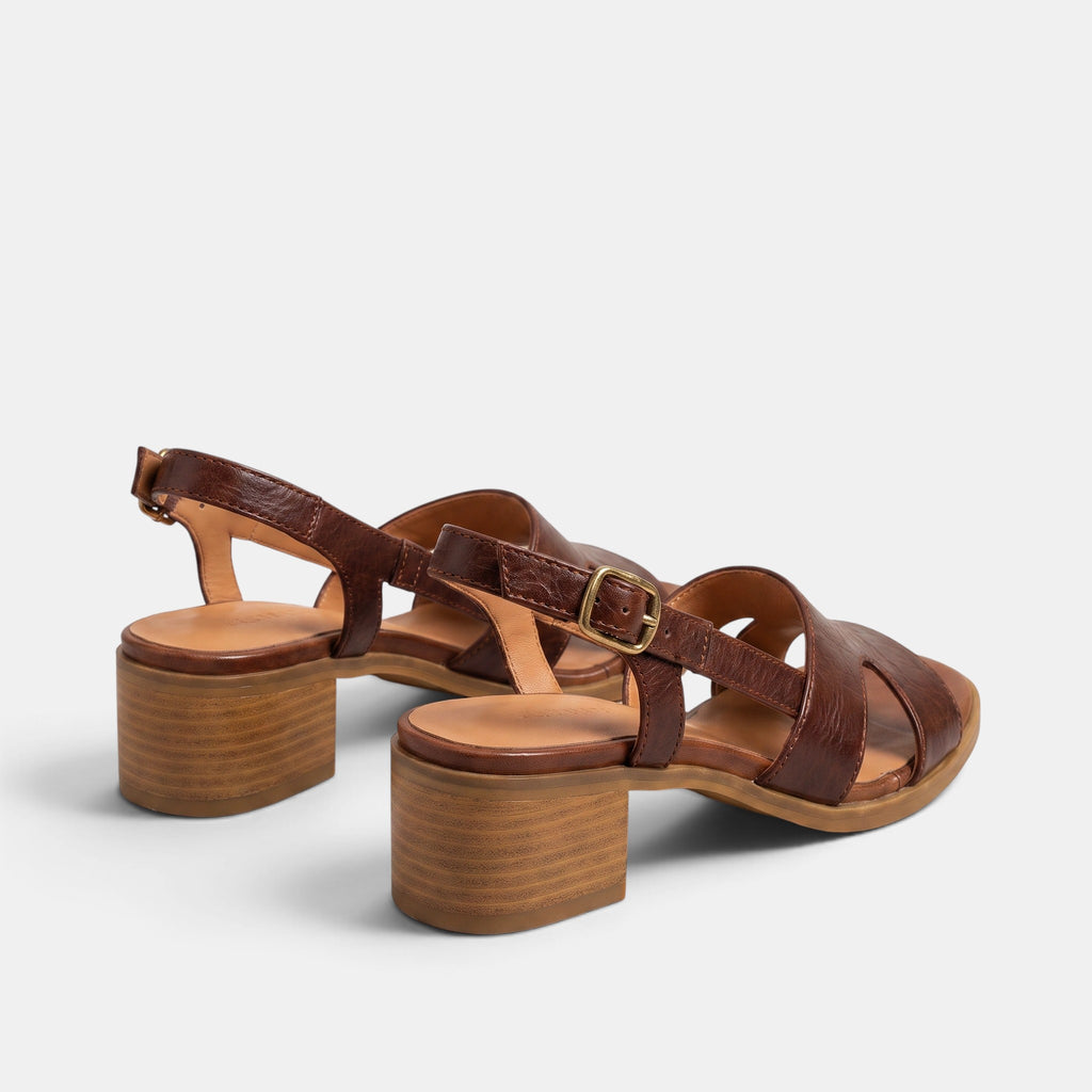 Women's Sandals with Buckle Strap and Low Heel